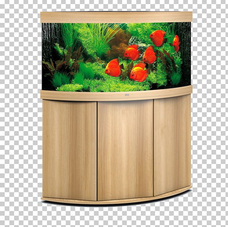 Aquarium Light-emitting Diode LED Lamp Lighting PNG, Clipart, Aquarium, Aquarium Filters, Aquarium Lighting, Blacklight, Dennerle Free PNG Download