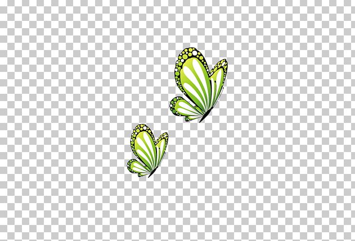 Butterfly PNG, Clipart, Butterflies And Moths, Color, Color Powder, Color Splash, Download Free PNG Download