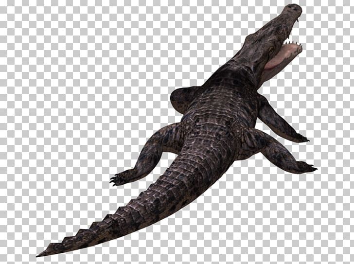 Alligators Crocodiles PNG, Clipart, Alligator, Alligators, Animal, Animal Figure, Animals Free PNG Download
