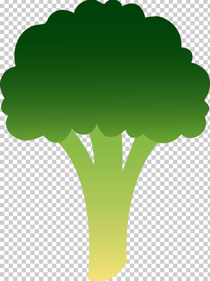 Broccoli Cabbage Leaf Vegetable PNG, Clipart, Brassica Oleracea, Broccoli, Cabbage, Cartoon, Collard Greens Free PNG Download