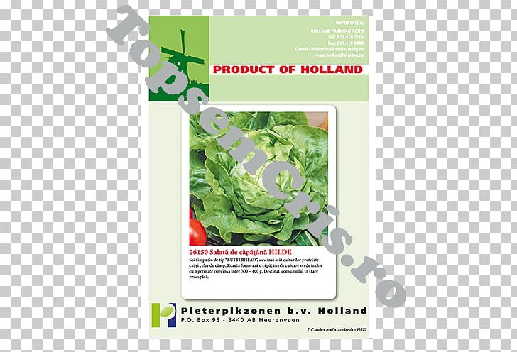 Herbicide Weed Pesticide Fungicide Agriculture PNG, Clipart, Agriculture, Fungicide, Grass, Grasses, Herb Free PNG Download