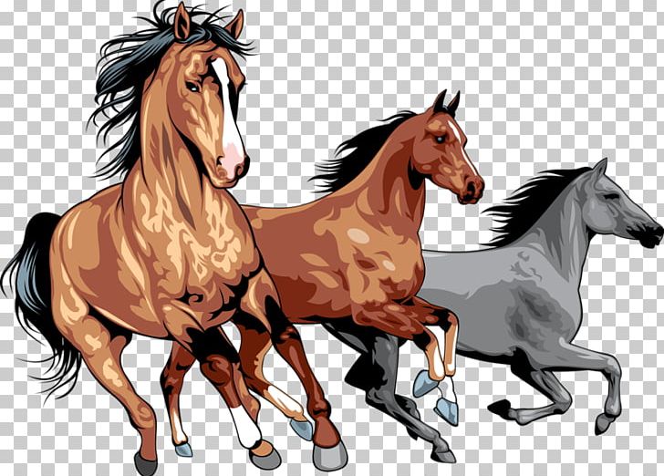 Horse Pony PNG, Clipart, Animals, Art, Bridle, Can Stock Photo, Colt Free PNG Download