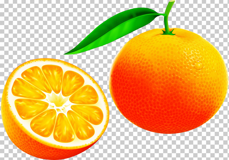Orange PNG, Clipart, Accessory Fruit, Bitter Orange, Calamondin, Citric Acid, Citron Free PNG Download