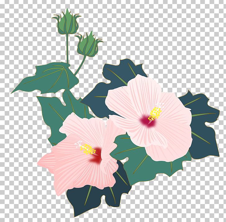 Hibiscus Mutabilis Shoeblackplant Hibiscus Moscheutos Flower Petal PNG, Clipart, Annual Plant, Bud, Flora, Floral Design, Flower Free PNG Download