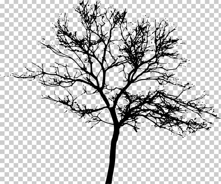 Tree Display Resolution PNG, Clipart, Black And White, Branch, Computer Icons, Desktop Wallpaper, Display Resolution Free PNG Download