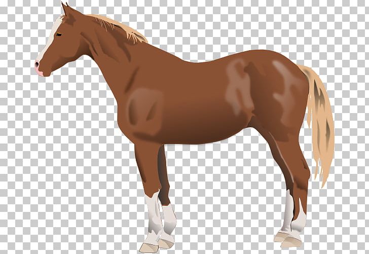 American Paint Horse Friesian Horse American Quarter Horse Morgan Horse Black Forest Horse PNG, Clipart, American Quarter Horse, Animal, Animal Figure, Animals, Black Free PNG Download