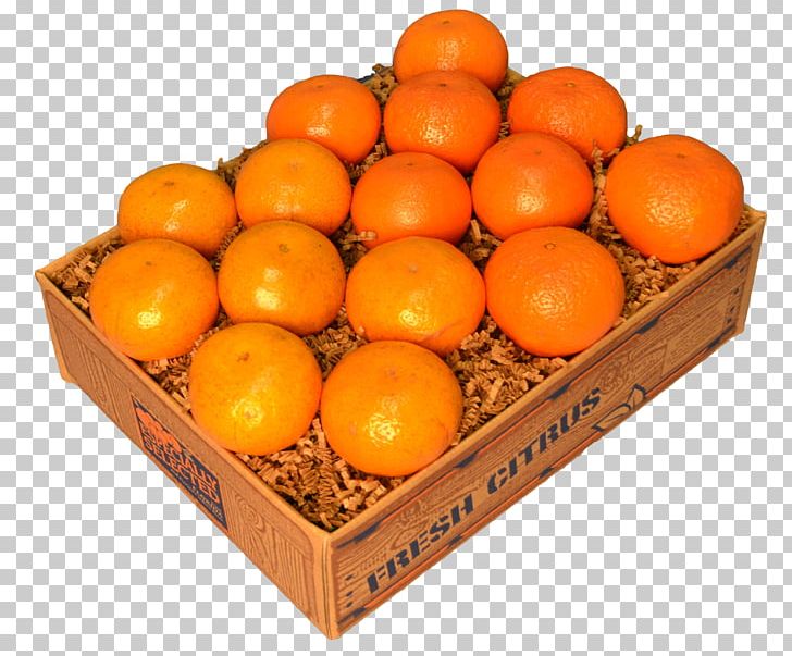 Blood Orange Tangerine Mandarin Orange Clementine Tangelo PNG, Clipart, Blood Orange, Citrus, Citrus Sinensis, Clementine, Food Free PNG Download