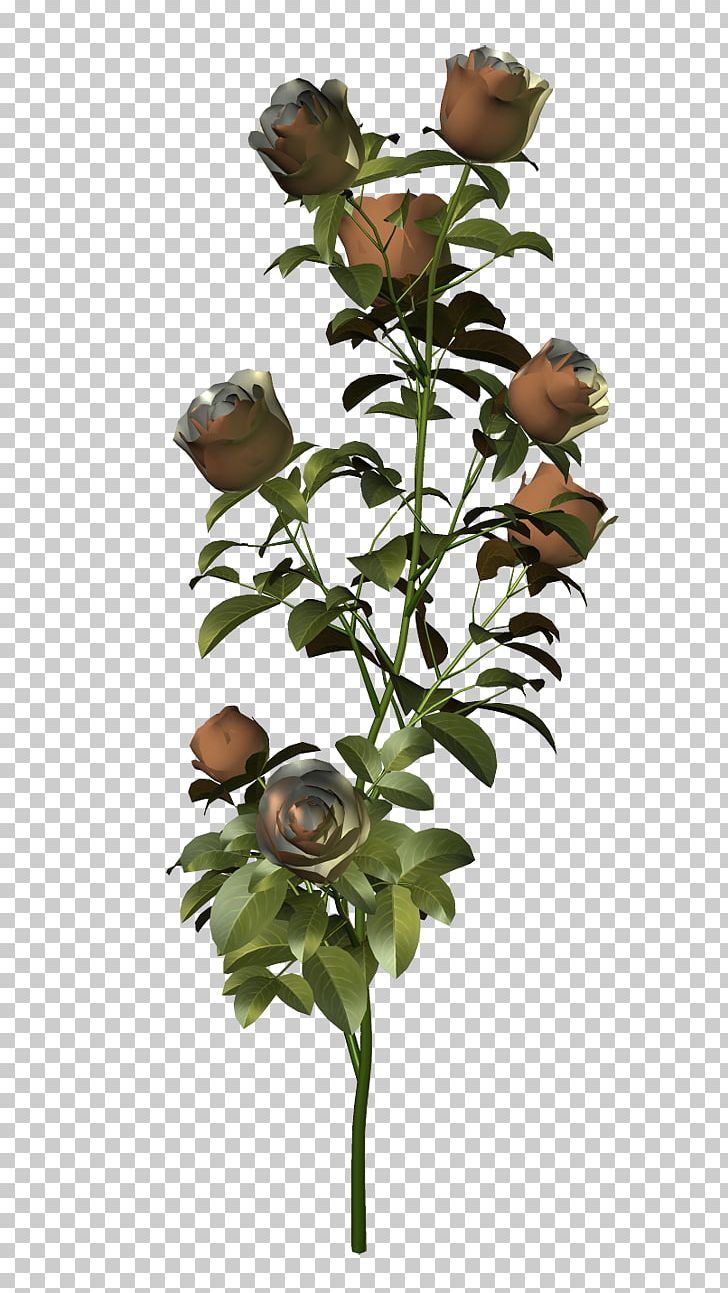 Garden Roses Cut Flowers Floral Design PNG, Clipart, Branch, Christmas, Cut Flowers, Dimension, Flatcast Free PNG Download