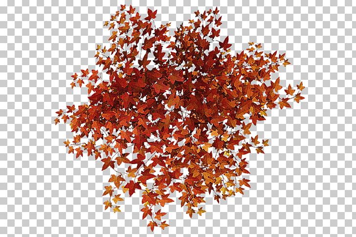 Leaf PNG, Clipart, Commodity, Computer Network, Cut Flowers, Download, Leaf Free PNG Download