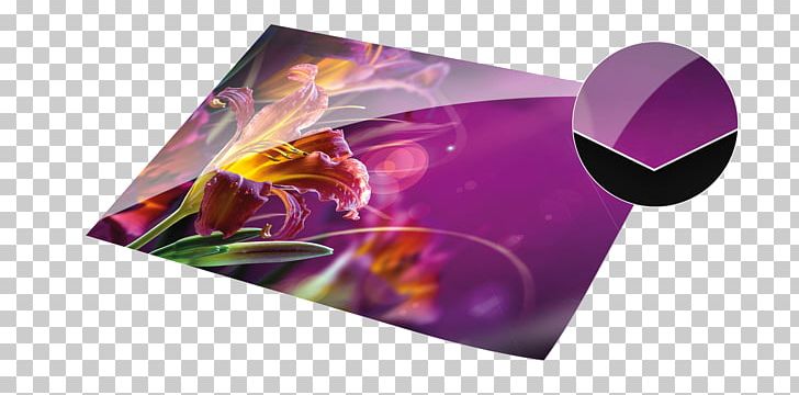 Photographic Paper Fujifilm Photography Color PNG, Clipart, Bilderdruckpapier, Color, Digital Data, Digital Paper, Fujifilm Free PNG Download