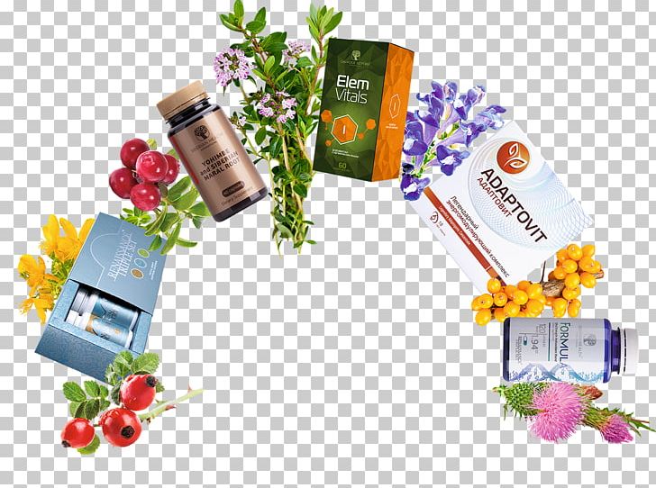 Siberian Health Presentation Science Technology PNG, Clipart, Corporation, Floral Design, Floristry, Flower, Food Free PNG Download