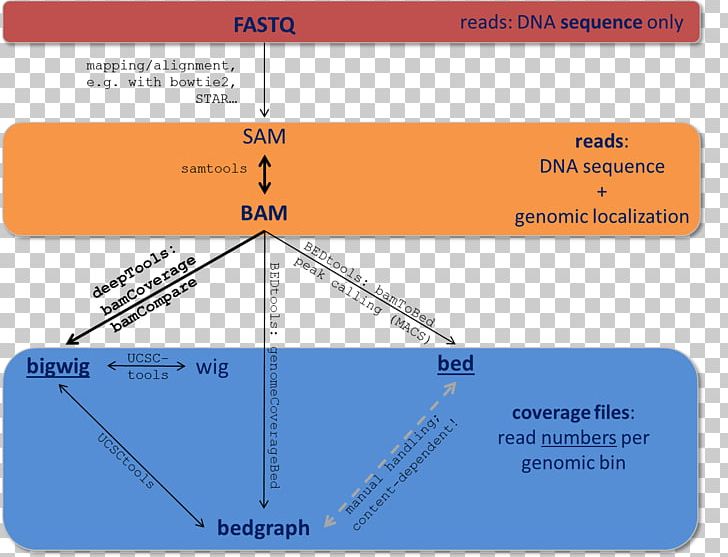 FASTQ Format SAMtools PNG, Clipart, Angle, Area, Bed, Binary File, Bioinformatics Free PNG Download