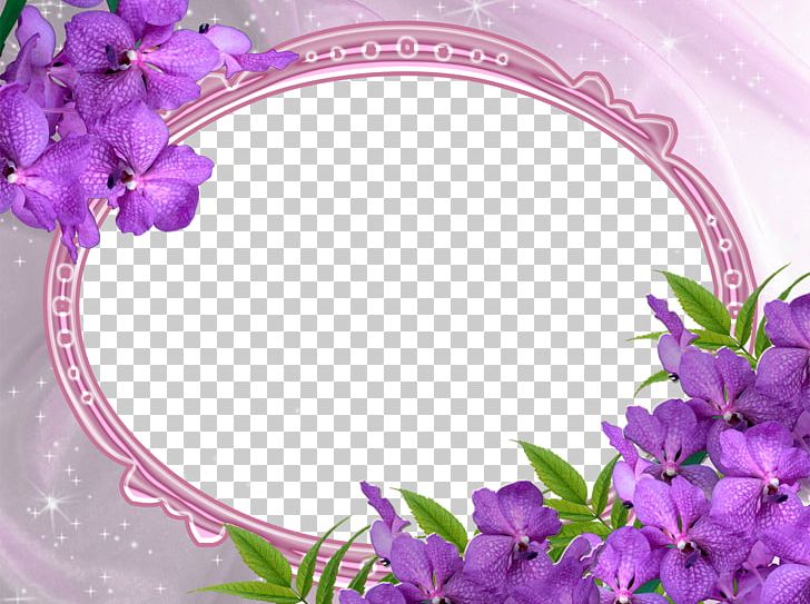 Kozhikode Frames Love Friendship PNG, Clipart, Flora, Floral Design, Floristry, Flower, Flower Arranging Free PNG Download