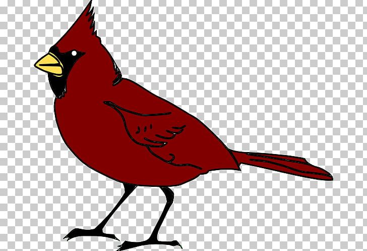 Bird Free Content Northern Cardinal PNG, Clipart, Art, Artwork, Beak, Bird, Black And White Free PNG Download