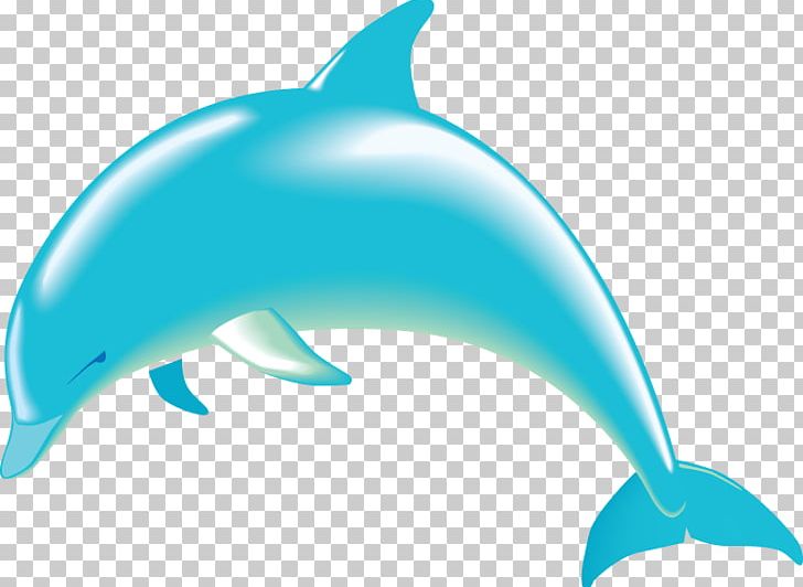 Bottlenose Dolphin Free Content PNG, Clipart, Aqua, Blog, Blue, Common Bottlenose Dolphin, Copyright Free PNG Download