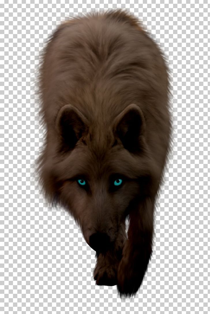 Gray Wolf Drawing Demon Photography PNG, Clipart, Animals, Anime, Art, Computer Icons, Demon Free PNG Download