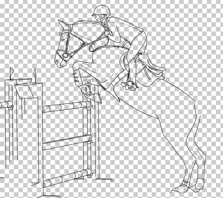 Horse Bridle Show Jumping Equestrian PNG, Clipart, Angle, Animals, Arm, Black And White, Bridle Free PNG Download