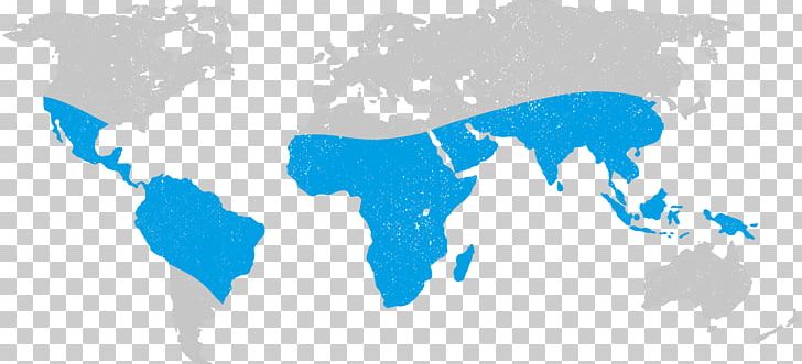 World Map Globe PNG, Clipart, Area, Atlas, Blue, Cartography, Dengue Fever Free PNG Download