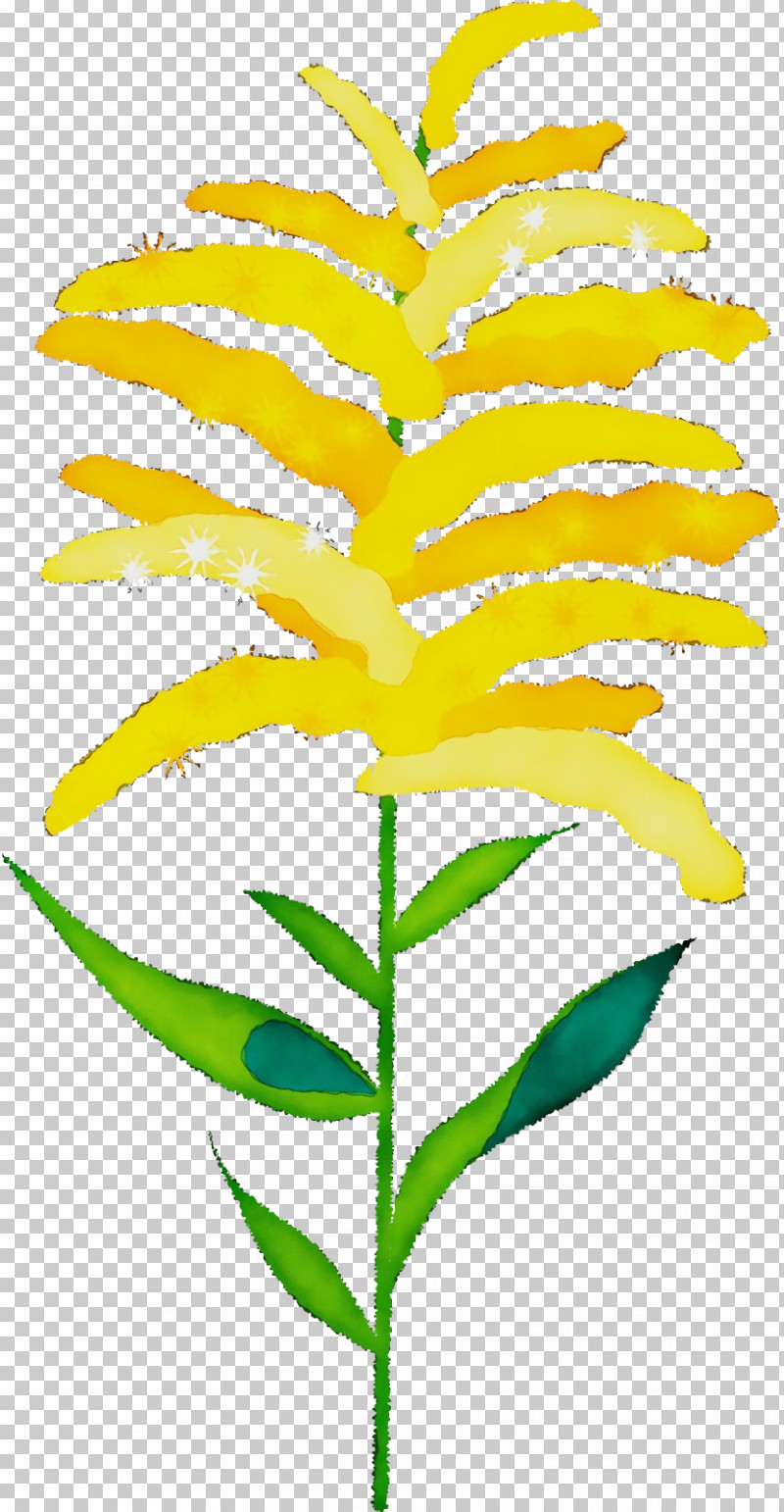 Plant Stem Branch Leaf Flower Yellow PNG, Clipart, Biology, Branch, Commodity, Flower, Lawn Free PNG Download