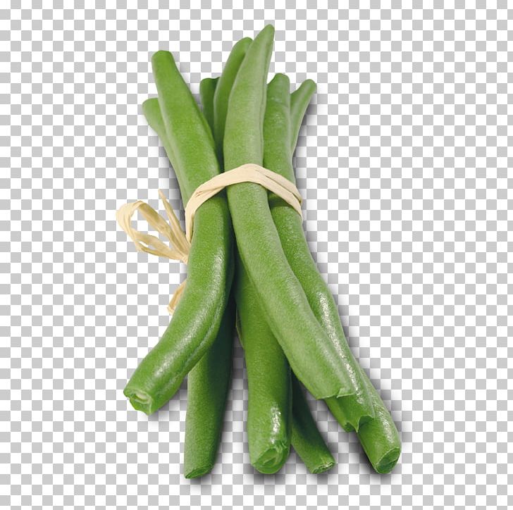 Green Bean Plant Stem Lima Bean Commodity Scallion PNG, Clipart, Bean, Commodity, Green Bean, Haricot Vert, Lima Bean Free PNG Download