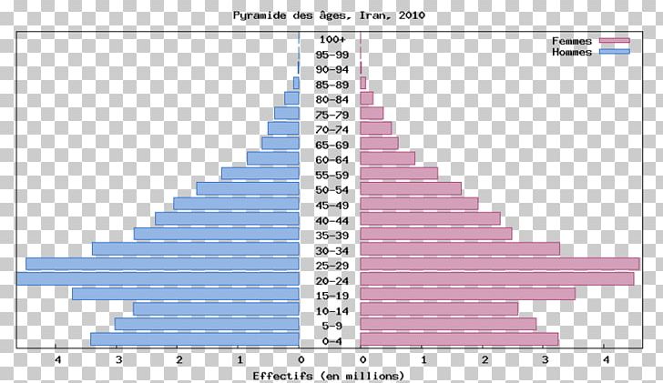 Population Pyramid Demography Statistics PNG, Clipart, Angle, Ap Human Geography, Area, Census, Chart Free PNG Download