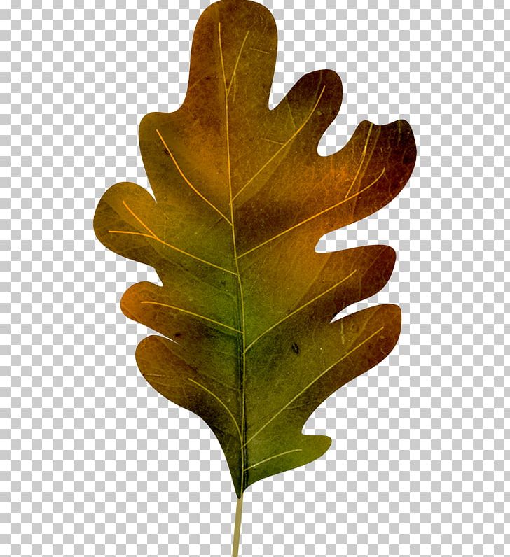 Leaf Sticker PNG, Clipart, Acorn, Autumn, Car, Leaf, Net Free PNG Download