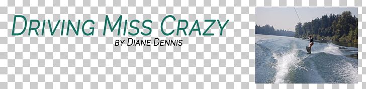 Logo Banner Brand PNG, Clipart, Advertising, Banner, Blue, Brand, Crazy Driver Free PNG Download