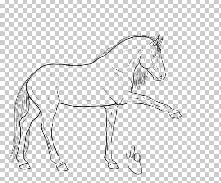 Mule Bridle Stallion Halter Mustang PNG, Clipart, Arm, Artwork, Black And White, Bridle, Character Free PNG Download