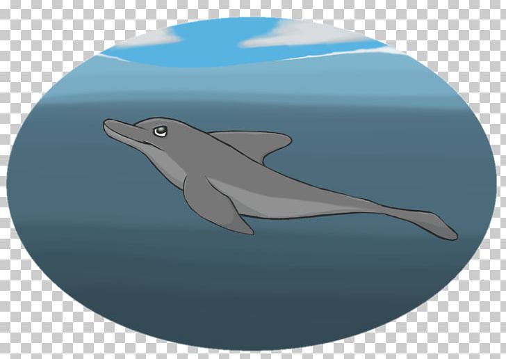 Common Bottlenose Dolphin Short-beaked Common Dolphin Wholphin Tucuxi PNG, Clipart, Animals, Bottlenose Dolphin, Common Bottlenose Dolphin, D20, Dolphin Free PNG Download