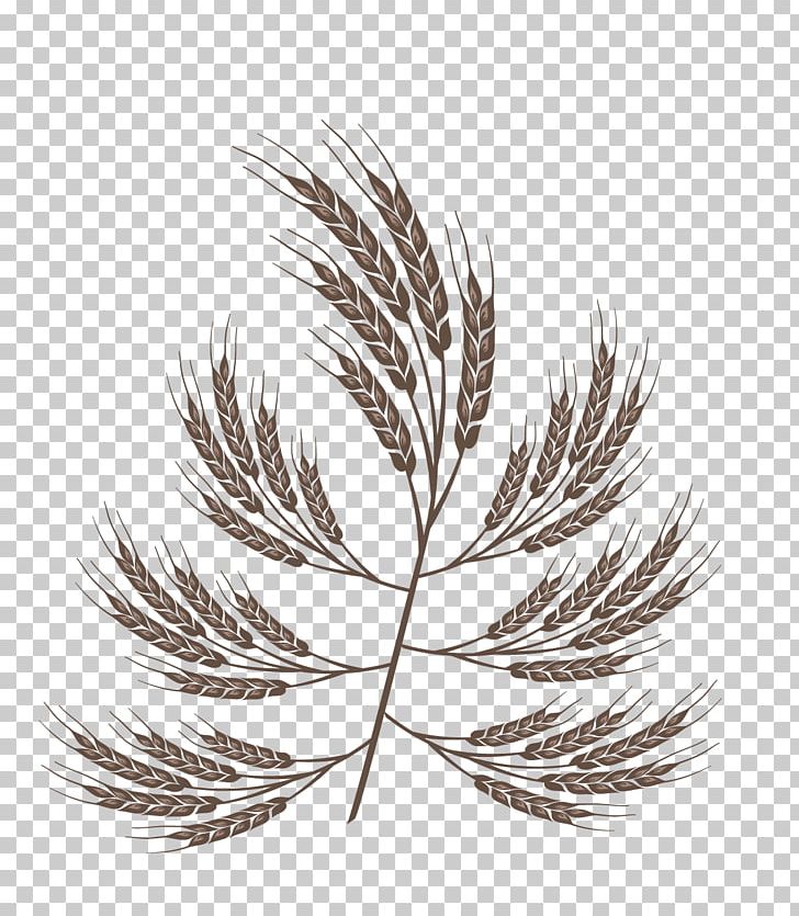 Graphic Design Wheat PNG, Clipart, Adobe Illustrator, Autumn, Black And White, Branch, Color Free PNG Download