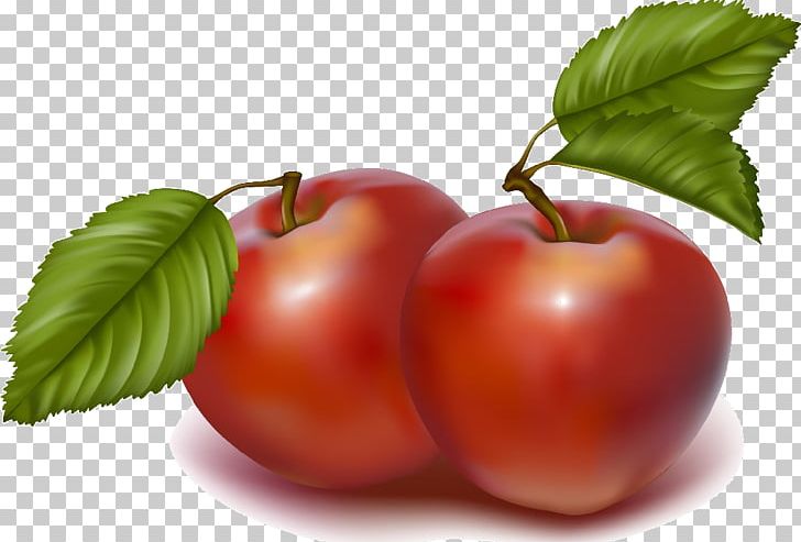 Oak Glen PNG, Clipart, Acerola Family, Apple, Apple Clipart, Berry, Bush Tomato Free PNG Download