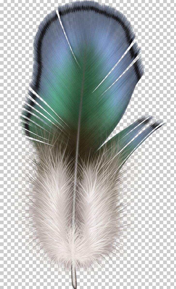 The Floating Feather PNG, Clipart, Animals, Bird, Desktop Wallpaper, Download, Encapsulated Postscript Free PNG Download