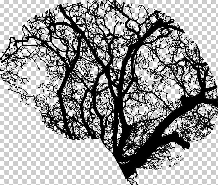 Human Brain Tree PNG, Clipart, Black And White, Brain , Branch, Human Brain, Human Head Free PNG Download