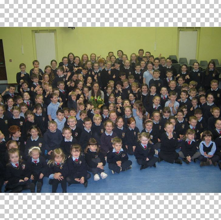 Social Group Community Audience PNG, Clipart, Audience, Class, Community, Crowd, Doonbeg National School Free PNG Download