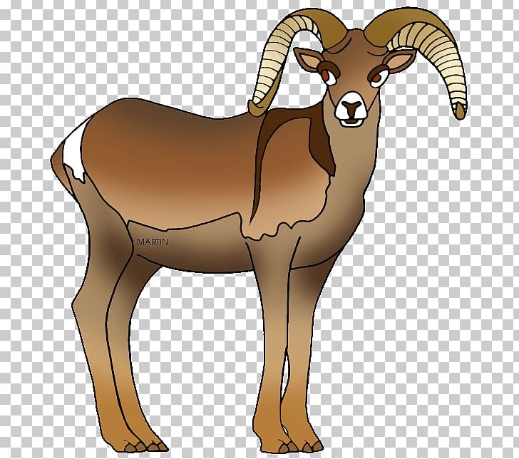 Bighorn Sheep Bighorn River Dall Sheep PNG, Clipart, Animals, Antelope, Antler, Argali, Bighorn Sheep Free PNG Download