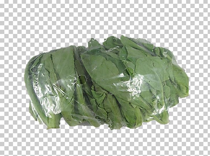 Chinese Broccoli Phat Si-io Chinese Cuisine Spring Greens Collard Greens PNG, Clipart, Cabbage, Capitata Group, Chard, Chinese Broccoli, Chinese Cuisine Free PNG Download