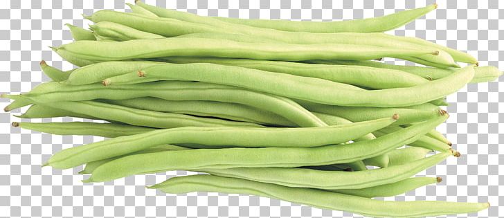 Common Bean Lima Bean Vegetable Green Bean PNG, Clipart, Bean, Commodity, Common Bean, Food, Green Bean Free PNG Download
