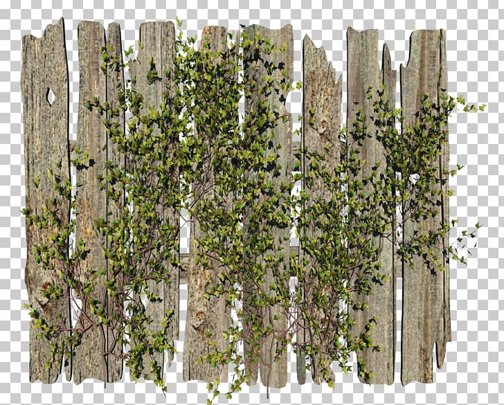 Fence Garden PNG, Clipart, Birch, Boom Barrier, Clip Art, Computer Graphics, Computer Icons Free PNG Download