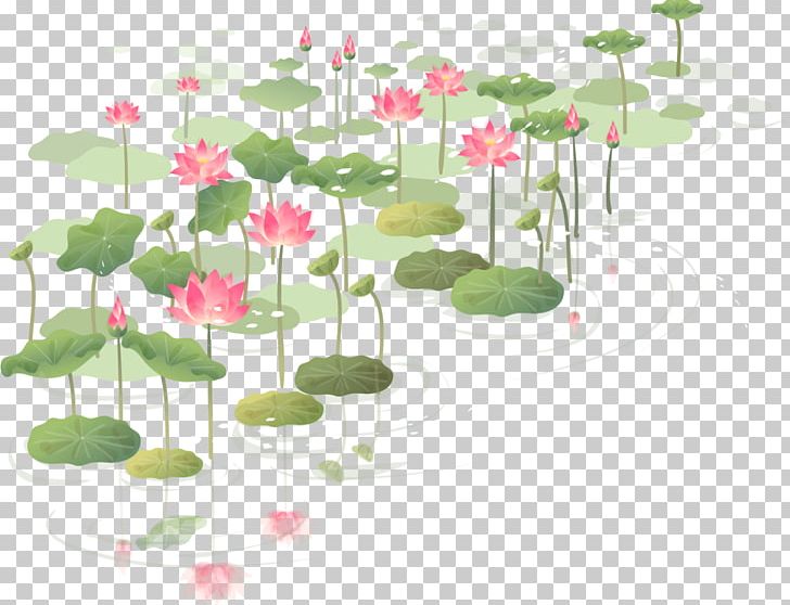 Flower Nelumbo Nucifera Wall Decal Sticker PNG, Clipart, Art, Drawing, Drop, Flora, Floral Design Free PNG Download