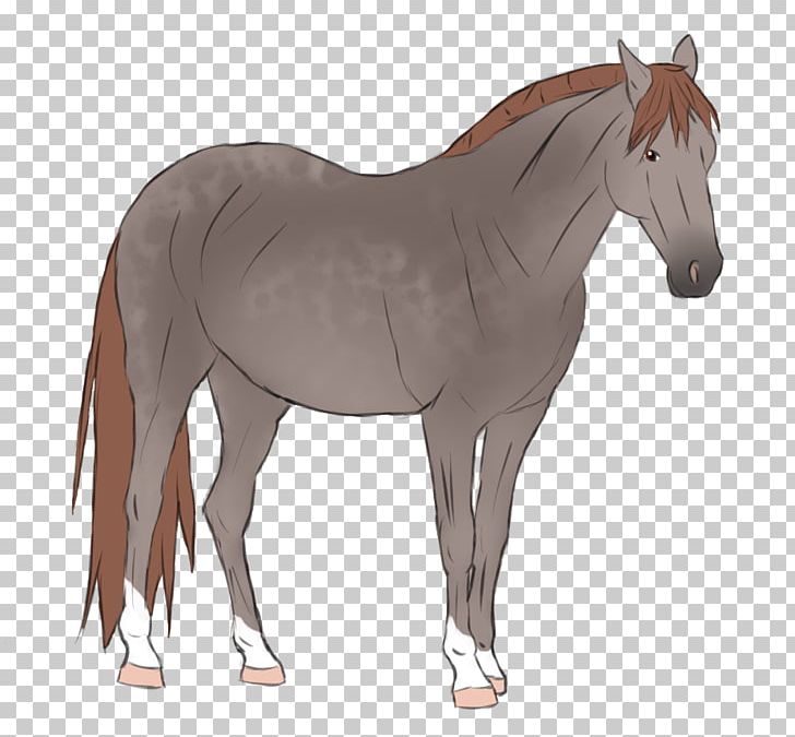 Foal Mare Stallion Colt Mustang PNG, Clipart, Bridle, Colt, Foal, Halter, Horse Free PNG Download