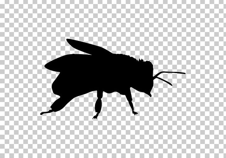 Silhouette Insect Drawing Honey Bee PNG, Clipart, Animals, Apidae, Bee, Black, Black And White Free PNG Download