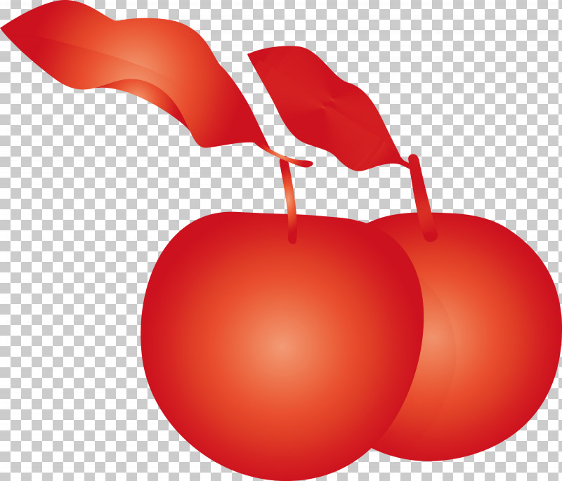Apple Fruit PNG, Clipart, Apple, Drupe, Food, Fruit, Plant Free PNG Download