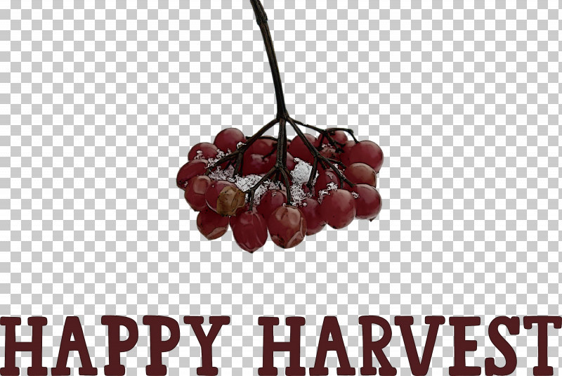 Happy Harvest Harvest Time PNG, Clipart, Berry, Caesar Salad, Cake, Drawing, Fruit Free PNG Download