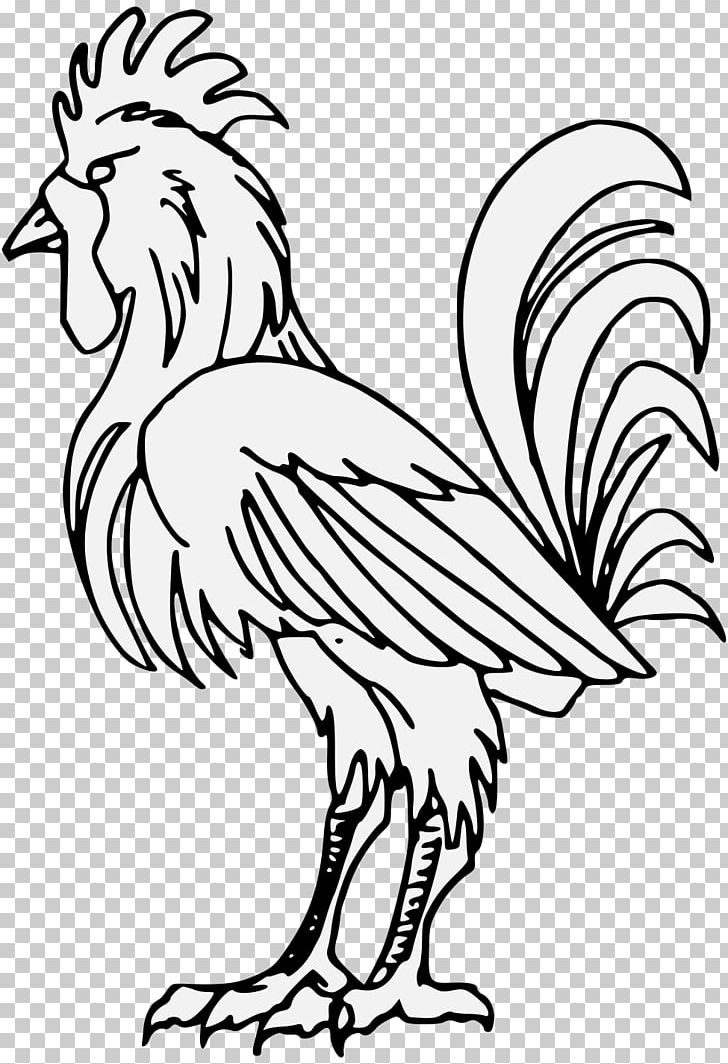 Chicken Phasianidae Rooster Bird PNG, Clipart, Animal Coloration, Animals, Art, Artist, Artwork Free PNG Download