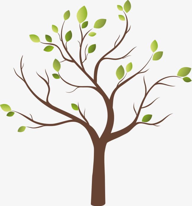 Green Cartoon Trees PNG, Clipart, Botany, Cartoon, Cartoon Clipart, Decorative, Decorative Pattern Free PNG Download