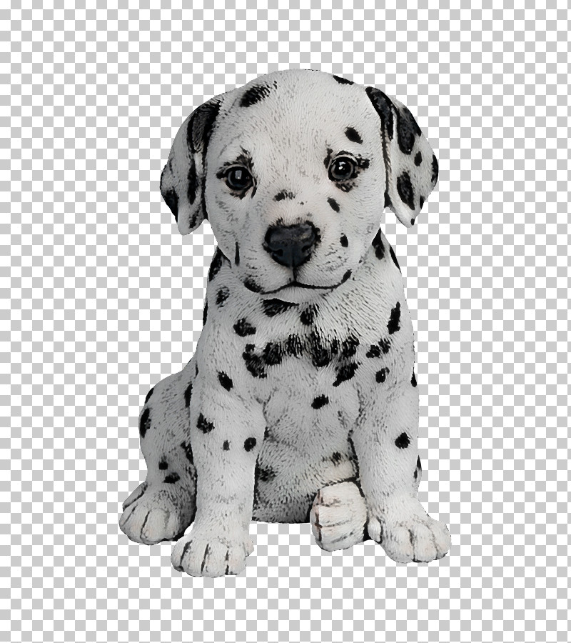 Dog Dalmatian Puppy Non-sporting Group Snout PNG, Clipart, Dalmatian, Dog, Nonsporting Group, Puppy, Snout Free PNG Download