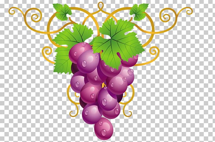 Common Grape Vine Wine PNG, Clipart, Common Grape Vine, Flowering Plant, Food, Food Drinks, Fruit Free PNG Download
