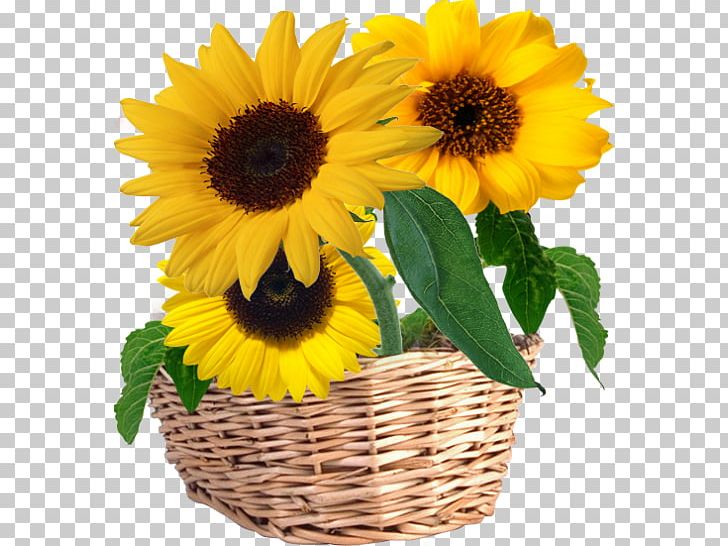 Fence Flower Garden PNG, Clipart, Basket, Clip Art, Common Sunflower, Cut Flowers, Daisy Family Free PNG Download