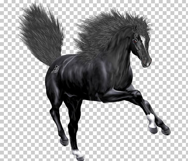 Mustang Stallion Mare Halter Rein PNG, Clipart, Black And White, Bridle, Halter, Horse, Horse Like Mammal Free PNG Download