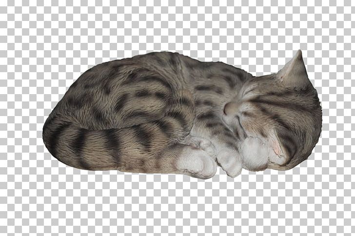 Tabby Cat Kitten Art All Pets Considered PNG, Clipart, American Shorthair, Animals, Art, Arts, Bengal Free PNG Download